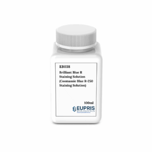Brilliant Blue R Staining Solution (Coomassie Blue R-250 Staining Solution)